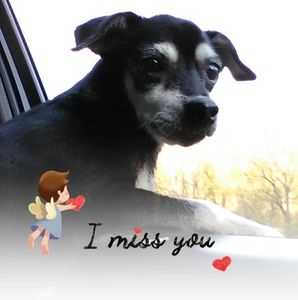 Meet your Posher, D'ona